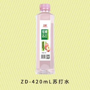 杭州ZD-420mL苏打水